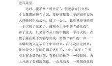 过年放烟花的作文