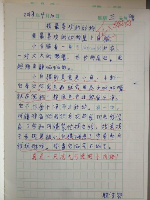 我的小动物小学作文