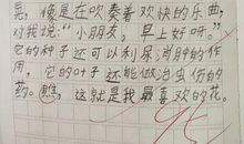我喜欢的一种花500字作文