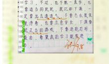 五年级日记大全