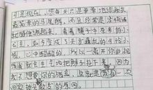 那次我流泪了作文