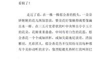 我喜欢的一种花作文