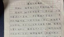 我喜欢的一节课作文