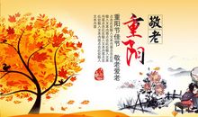 重阳节登高的作文