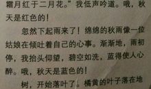 我的时间高中作文