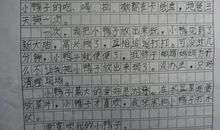 过年了的作文300字
