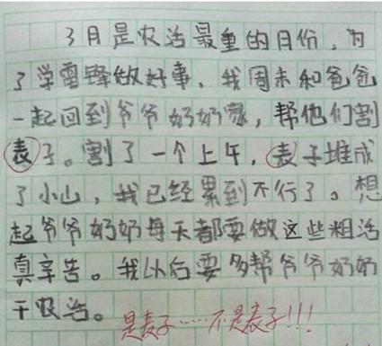 我的数学老师作文200字