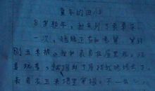 日记300字初中