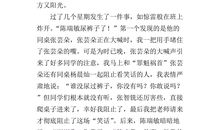 法在我心中作文