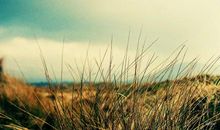 霜冷长河读后感