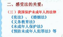 法制在我心中作文