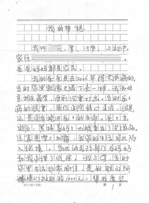 梦作文400字