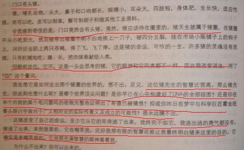 我的暑假有300个字