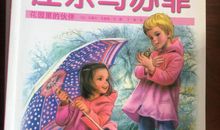 庄乐与苏菲读后感