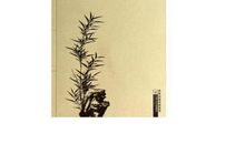 人间草木读后感