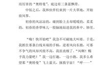 关于春天的作文600字