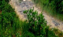 我眼中的风雨人生