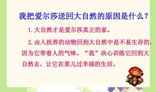 小狮子爱尔莎读后感