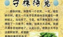 守株待兔读后感