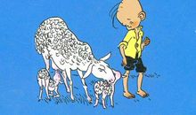 三毛流浪记读后感5