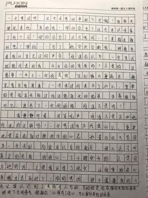 那个冬天的作文