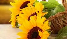 送给我的朋友们