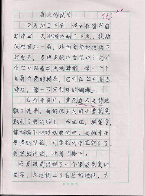 我的夏季论文有300个字