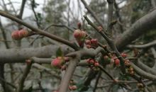 我眼中的风景600字