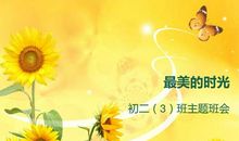 最美的时光作文