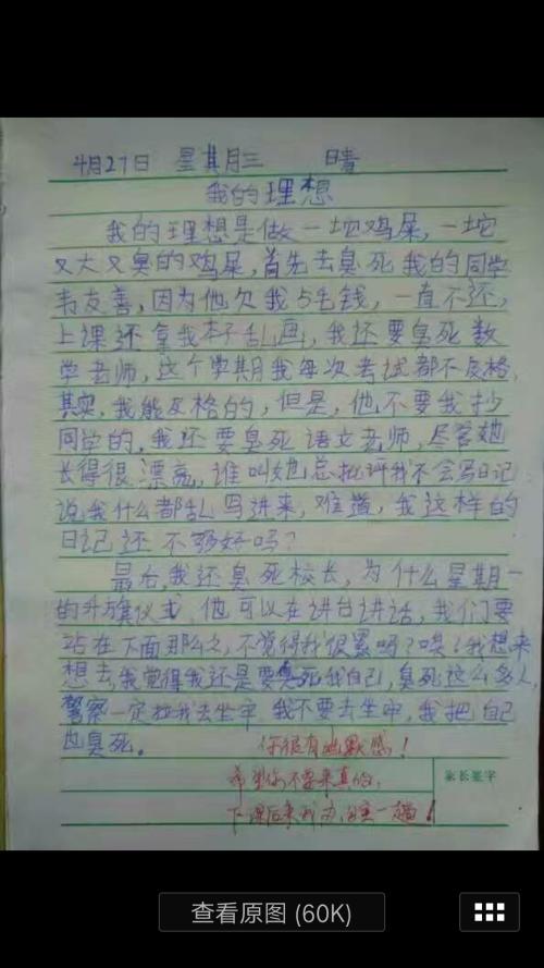 我最适合小学生的作文