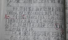 二年级日记大全