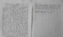 小学生五年级日记