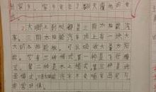 未来的我作文700字