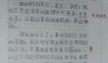 以梦想为话题的作文800字