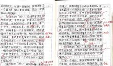 走进田园的作文