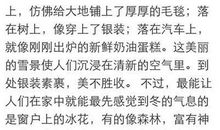 我眼中的冬天作文