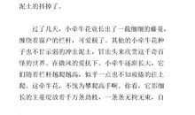 我喜欢牵牛花作文