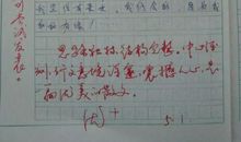 我眼中的冰心作文