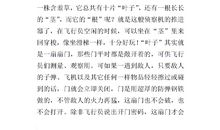 有关含羞草的作文