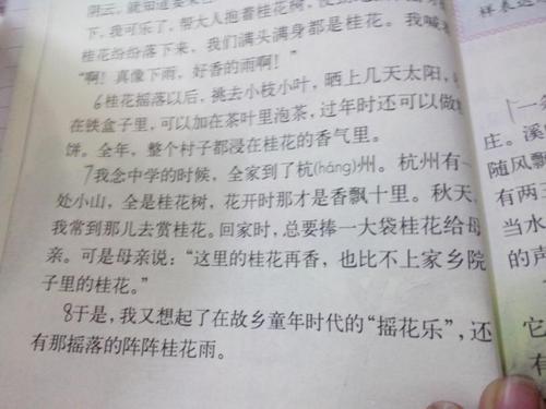 桂花下雨读完100个字