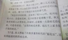 桂花雨读后感100字