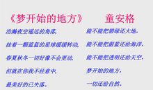 向沙漠进军读后感