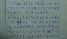 关于含羞草的作文