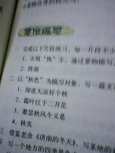 以掌声为主题的作文