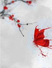 真的很伤心，不能流泪