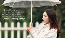 我在雨中等你读后感