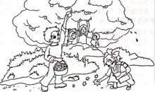 作文丰收的秋天