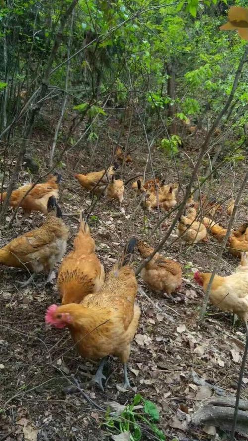 80年代后的创业经验总结