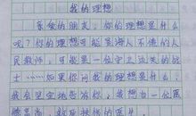 我的梦想作文600字初中