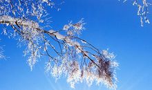 那个冬天很温暖作文500字